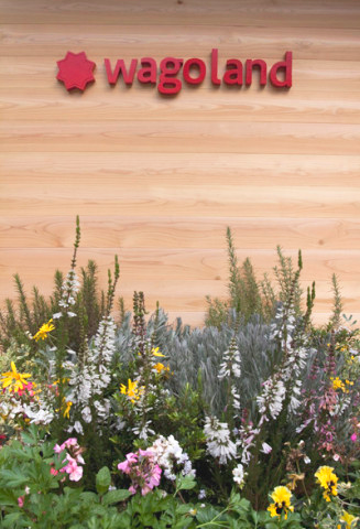 インターナショナルスクール「ワゴランド」